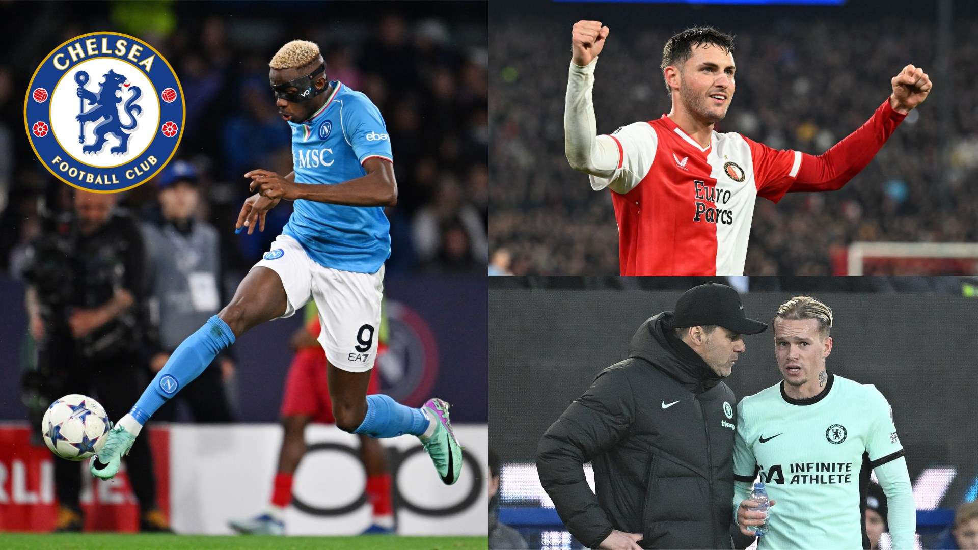 的爪牙和强 的爪牙和强