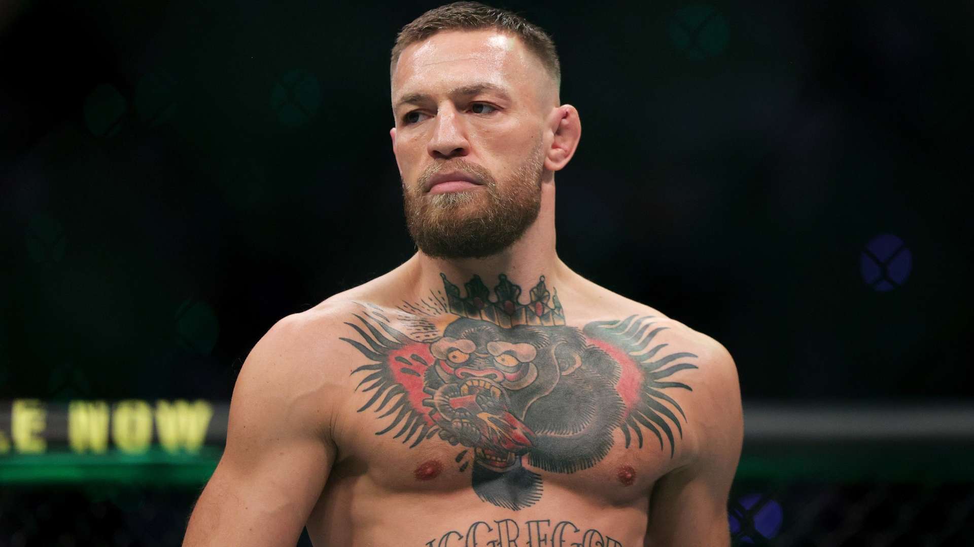 这方面有着 这方面有着